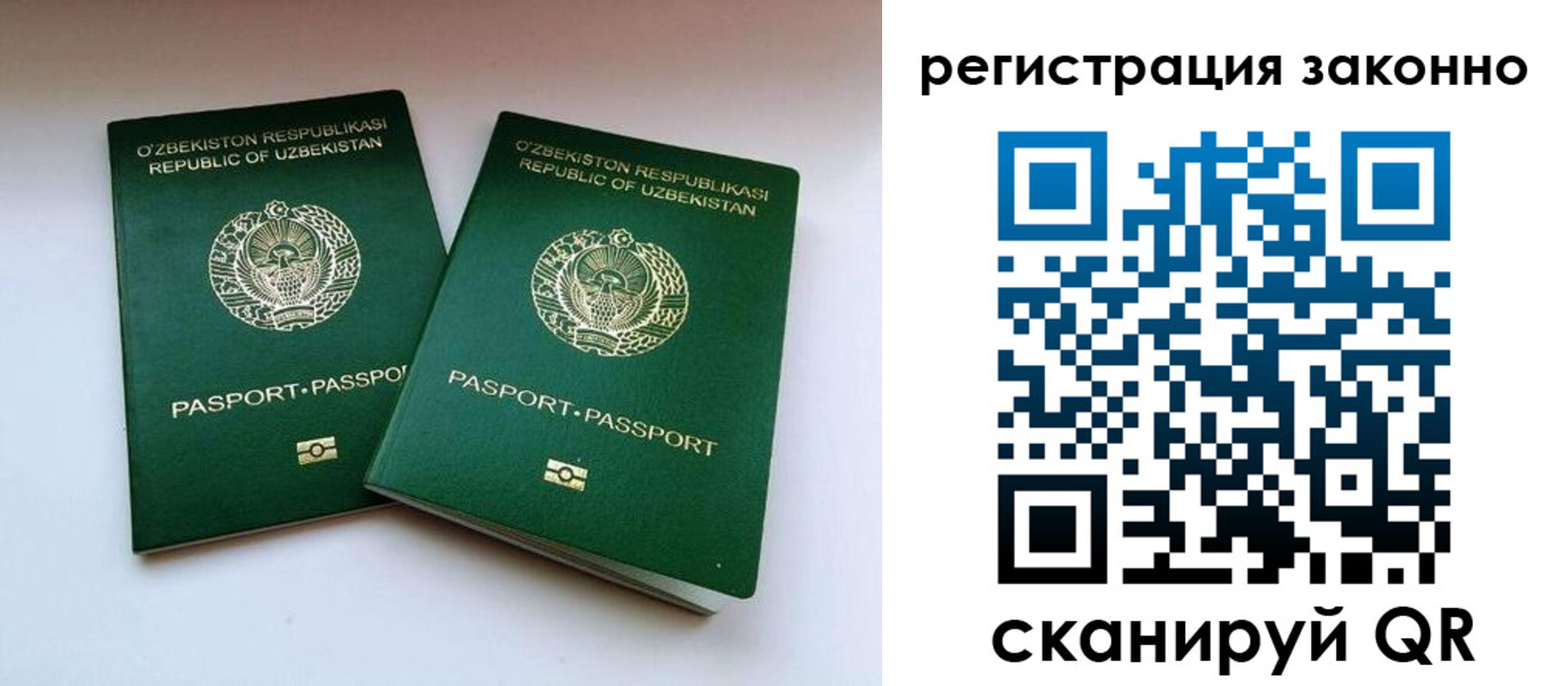прописка гарантия в Черногорске